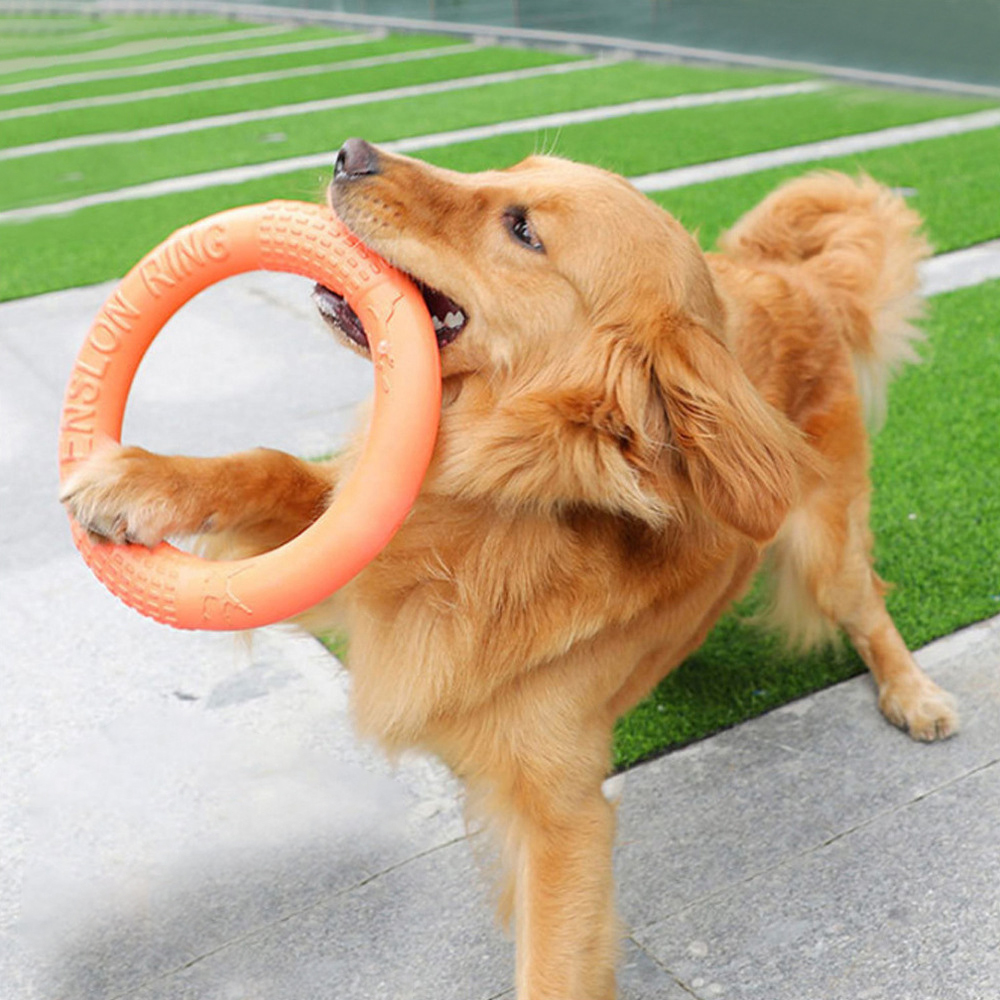 Flying Disc Dog Training Toy - 1 buah mainan anjing hewan peliharaan