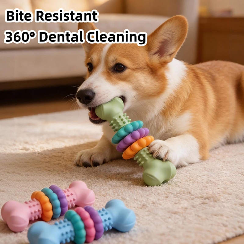 Teeth Cleaning Dog Chew Bone - Mainan Kunyah Anjing TPR Tahan Lama