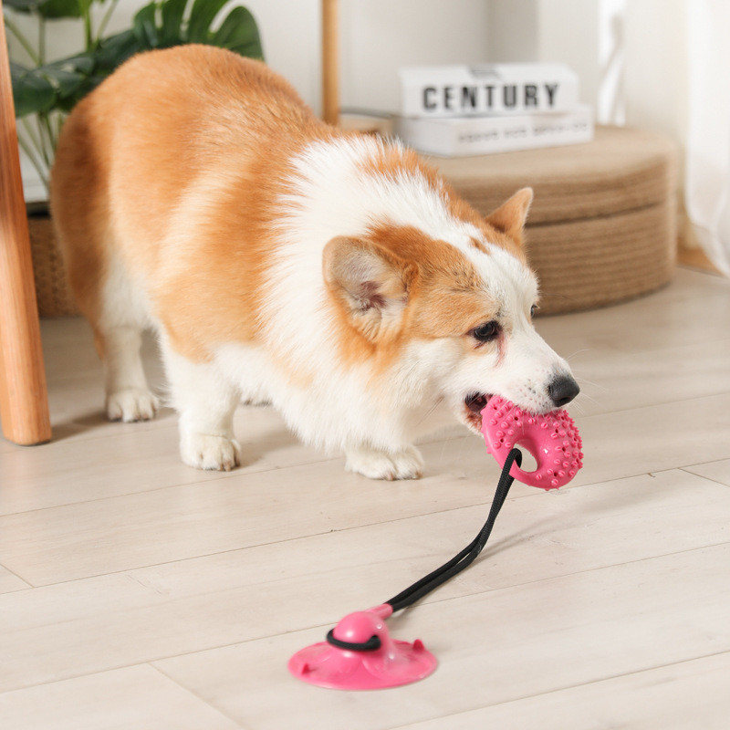 Suction Cup Dog Tug Toy - Mainan anjing mangkuk hisap silikon Tug