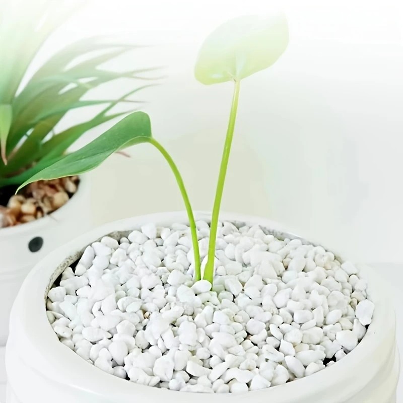 Pet Beds - 1L Kualitas Tinggi Perlite Anggrek Sukulen