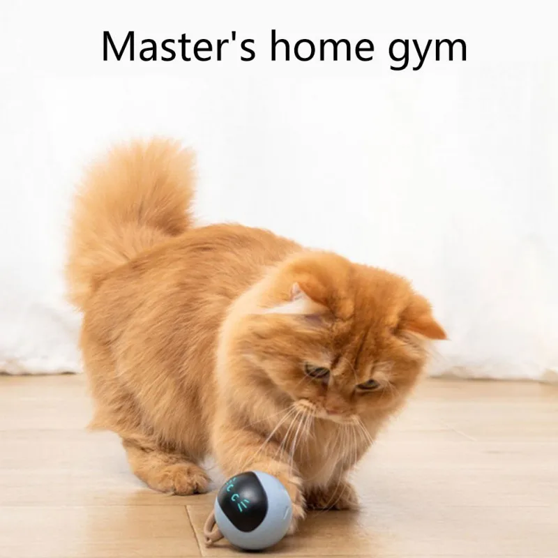 Automatic Moving Dog Ball - Mainan Bola Kucing Interaktif USB Isi