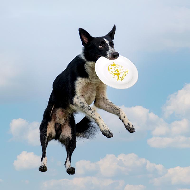 Flying Disc Dog Training Toy - OUZEY mainan cakram terbang tahan gigit,
