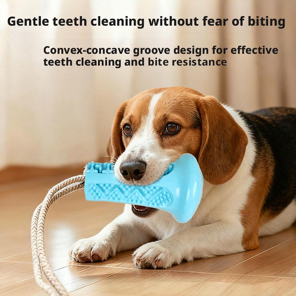 Mainan Kunyah Anjing dengan Su - Suction Cup Dog Tug Toy ulasan dan harga