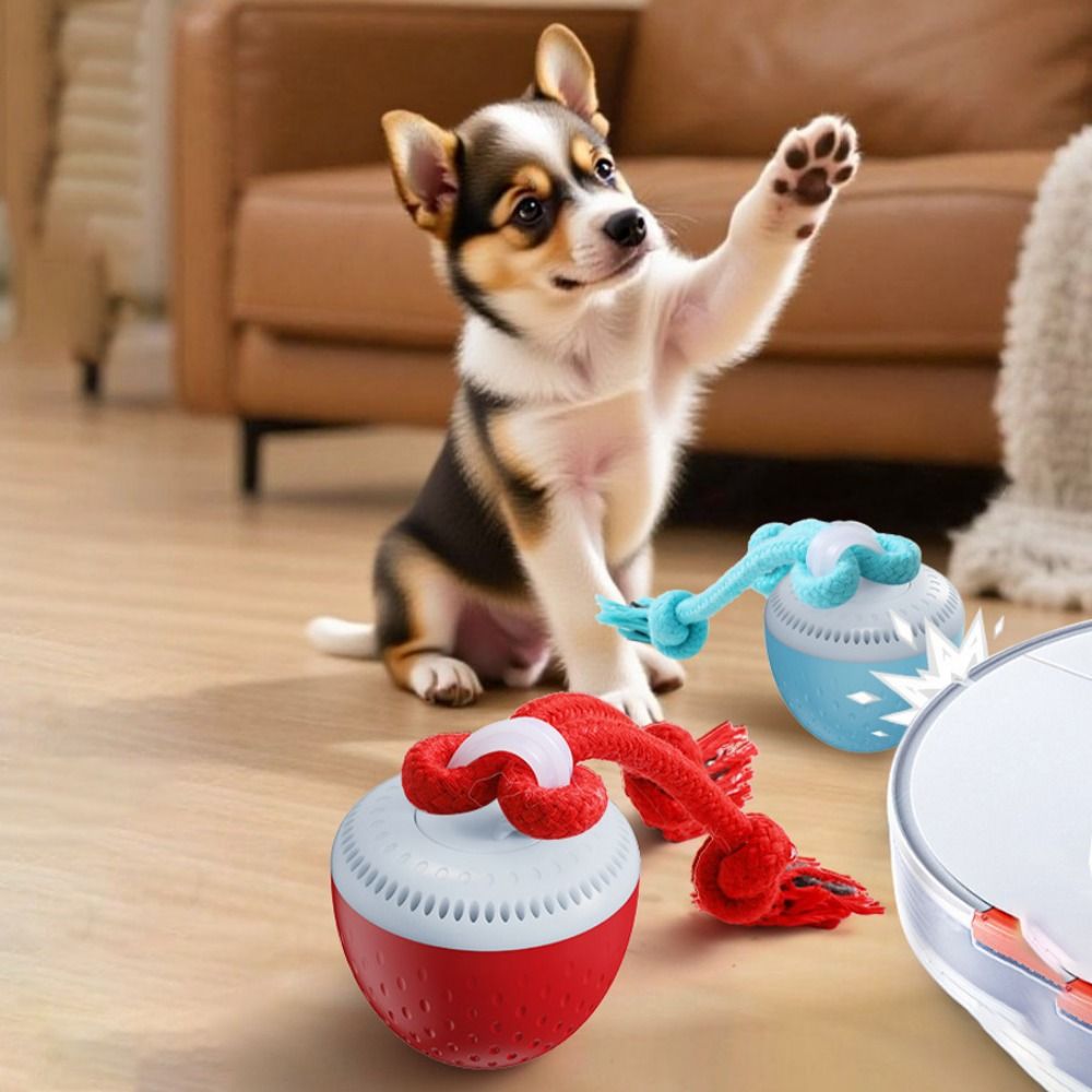 Bola Mainan Hewan Peliharaan P - Automatic Moving Dog Ball ulasan dan harga