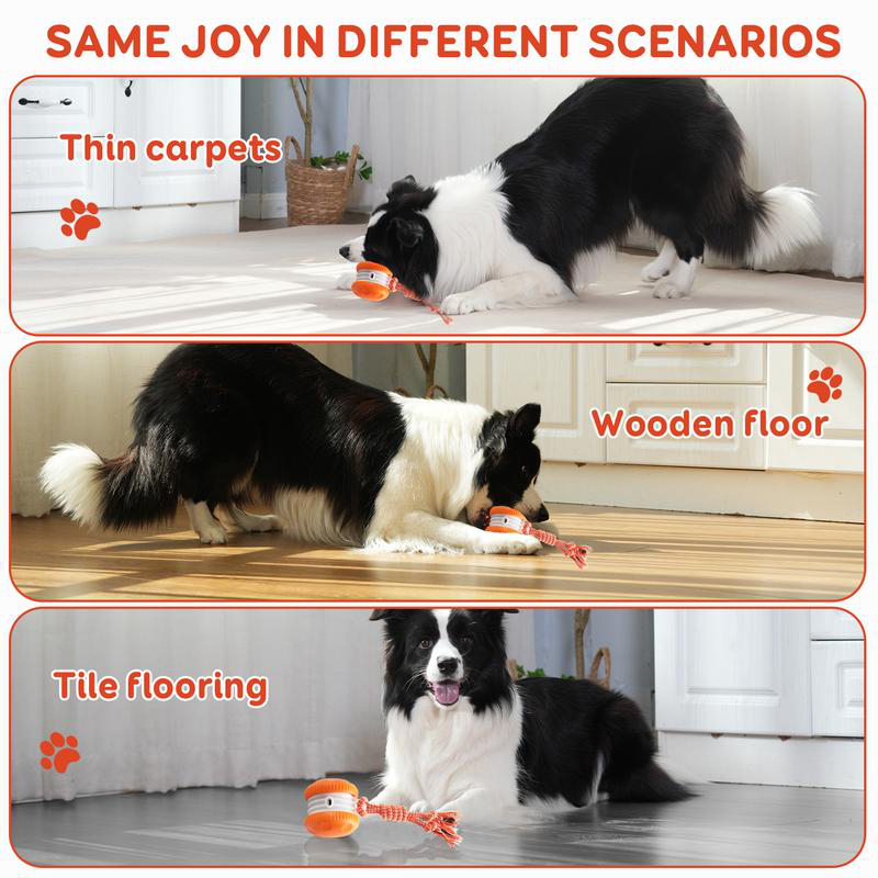Bola Mainan Hewan Peliharaan I - Automatic Moving Dog Ball ulasan dan harga