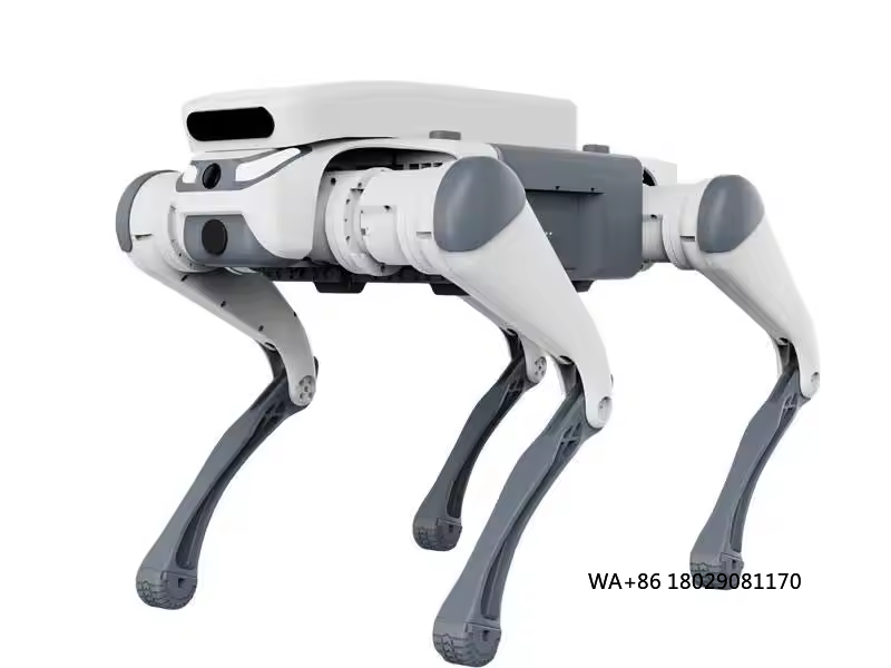 Mainan edukatif kendali jarak  - Dog Toys ulasan dan harga