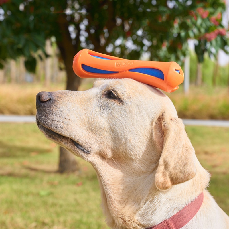 Mainan Kunyah Anjing Apung Ant - Indestructible Dog Chew Toy ulasan dan harga