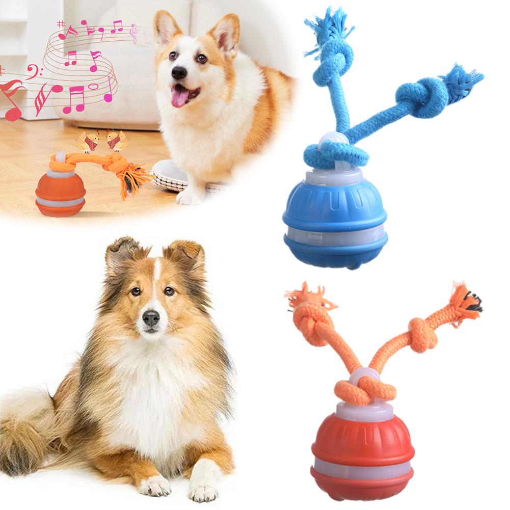 Bola Anjing Pintar Isi Ulang,  - Automatic Moving Dog Ball ulasan dan harga