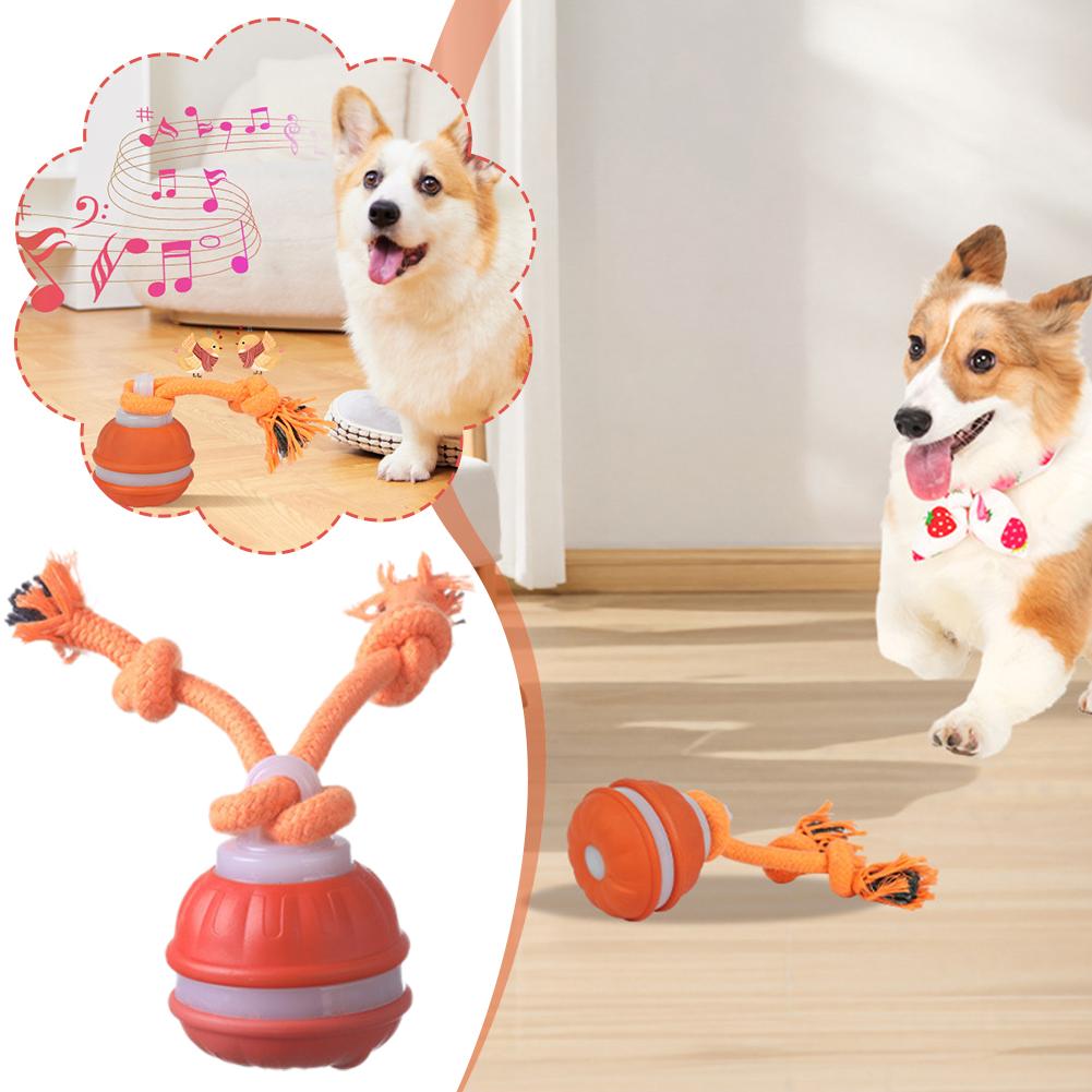 Bola Anjing Pintar Isi Ulang,  - Automatic Moving Dog Ball ulasan dan harga
