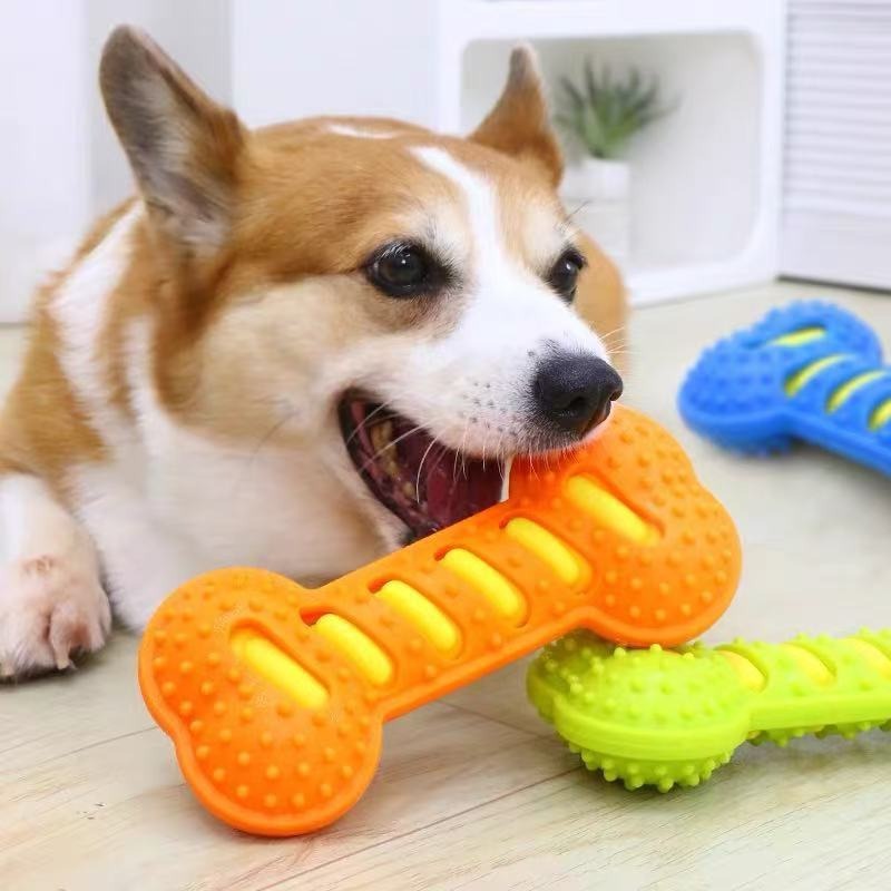 Stik Gigit Karet untuk Anjing, - Teeth Cleaning Dog Chew Bone ulasan dan harga