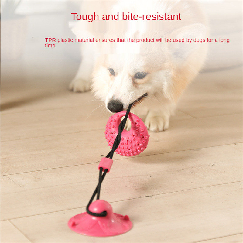Mainan anjing mangkuk hisap si - Suction Cup Dog Tug Toy ulasan dan harga
