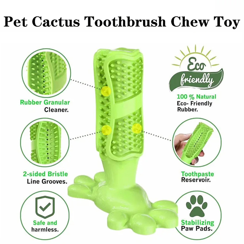 Anjing peliharaan kaktus karet - Rubber Treat Dispensing Dog Toy ulasan dan harga