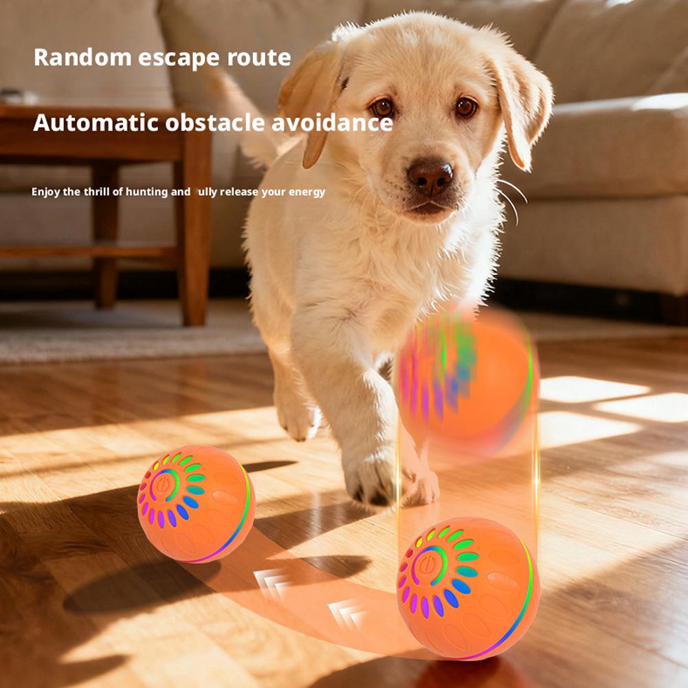 Bola Mainan Anjing Pintar Otom - Automatic Moving Dog Ball ulasan dan harga