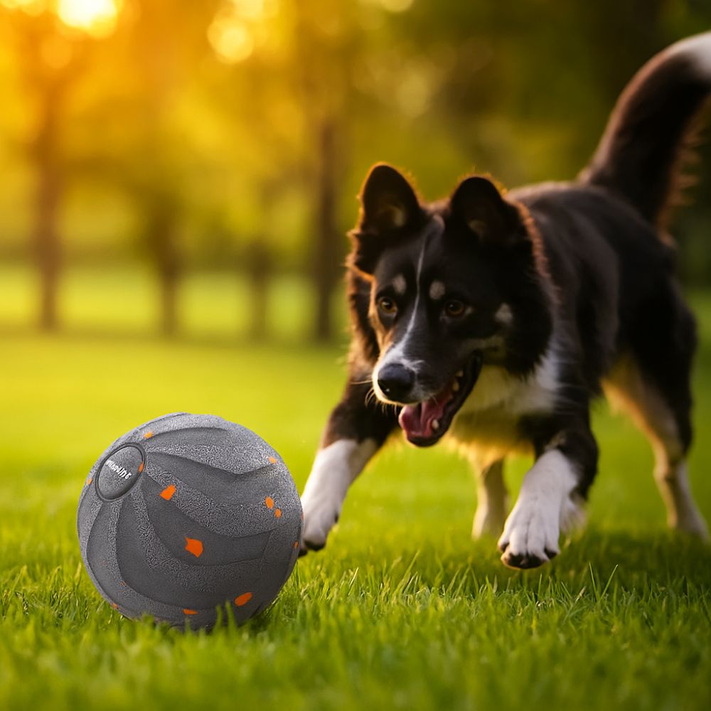 Bola Mainan Anjing Pintar Taha - Automatic Moving Dog Ball ulasan dan harga