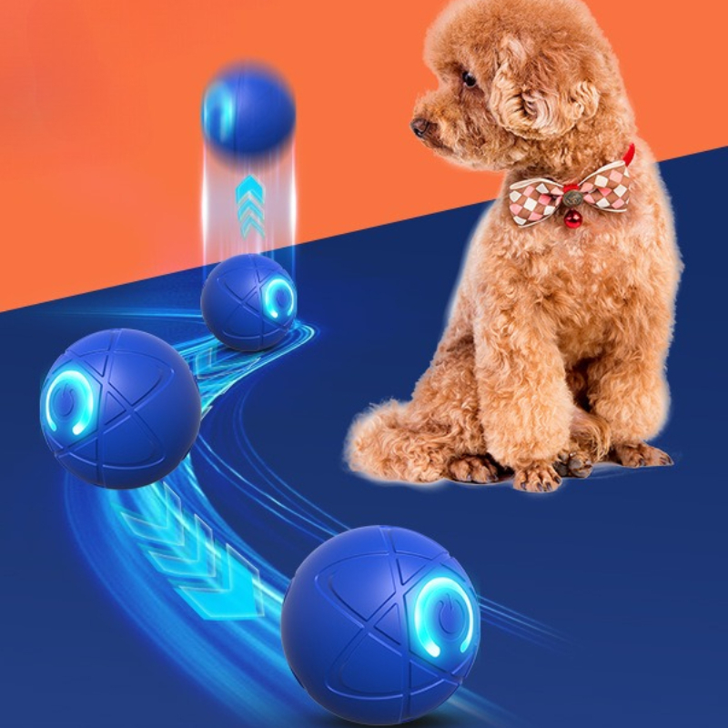 Bola mainan anjing pintar USB  - Automatic Moving Dog Ball ulasan dan harga