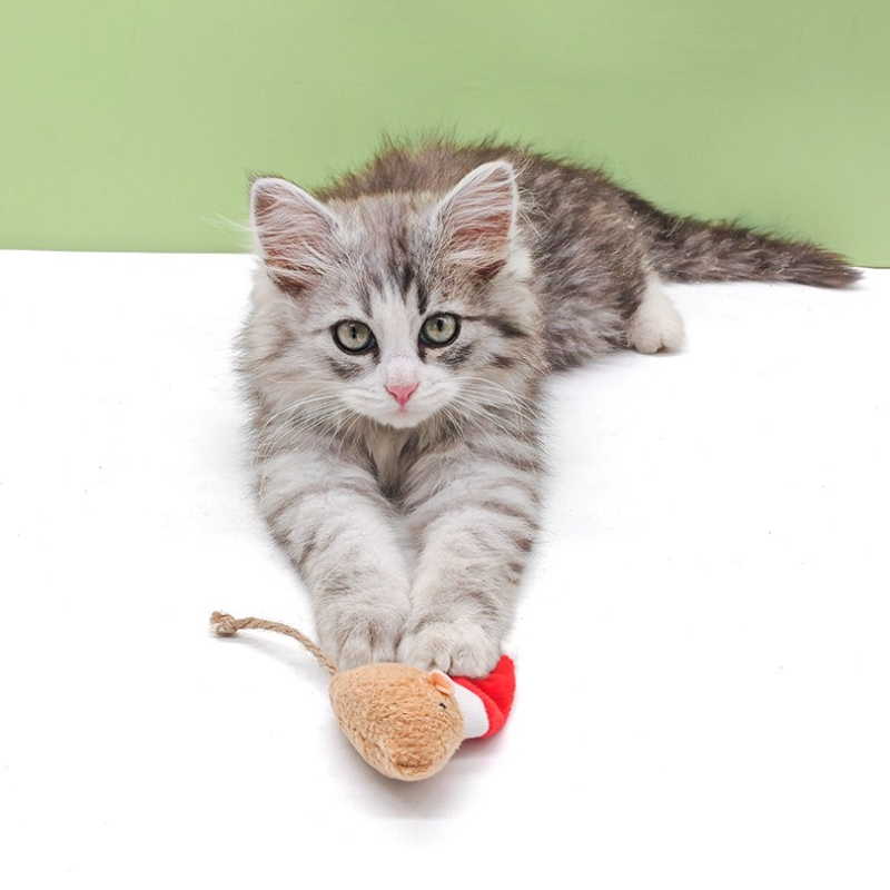 5 Buah Mainan Kunyah Dorong Ku - Catnip Interactive Plush Mouse ulasan dan harga
