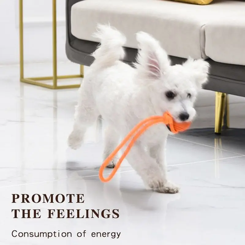 Bola pelatihan anjing di tali  - Suction Cup Dog Tug Toy ulasan dan harga