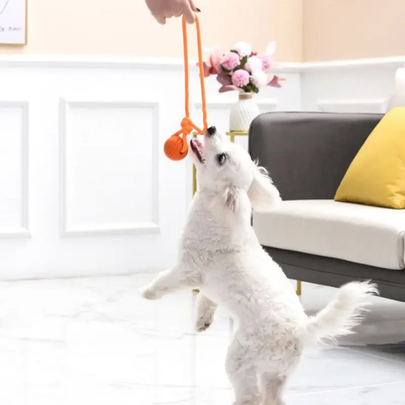 Bola pelatihan anjing di tali  - Suction Cup Dog Tug Toy ulasan dan harga