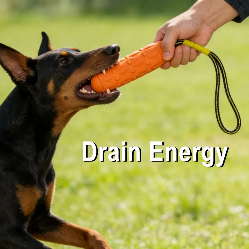 Mainan Kunyah Anjing Anti Rusa - Dog Rope Toy Aggressive Chewers ulasan dan harga