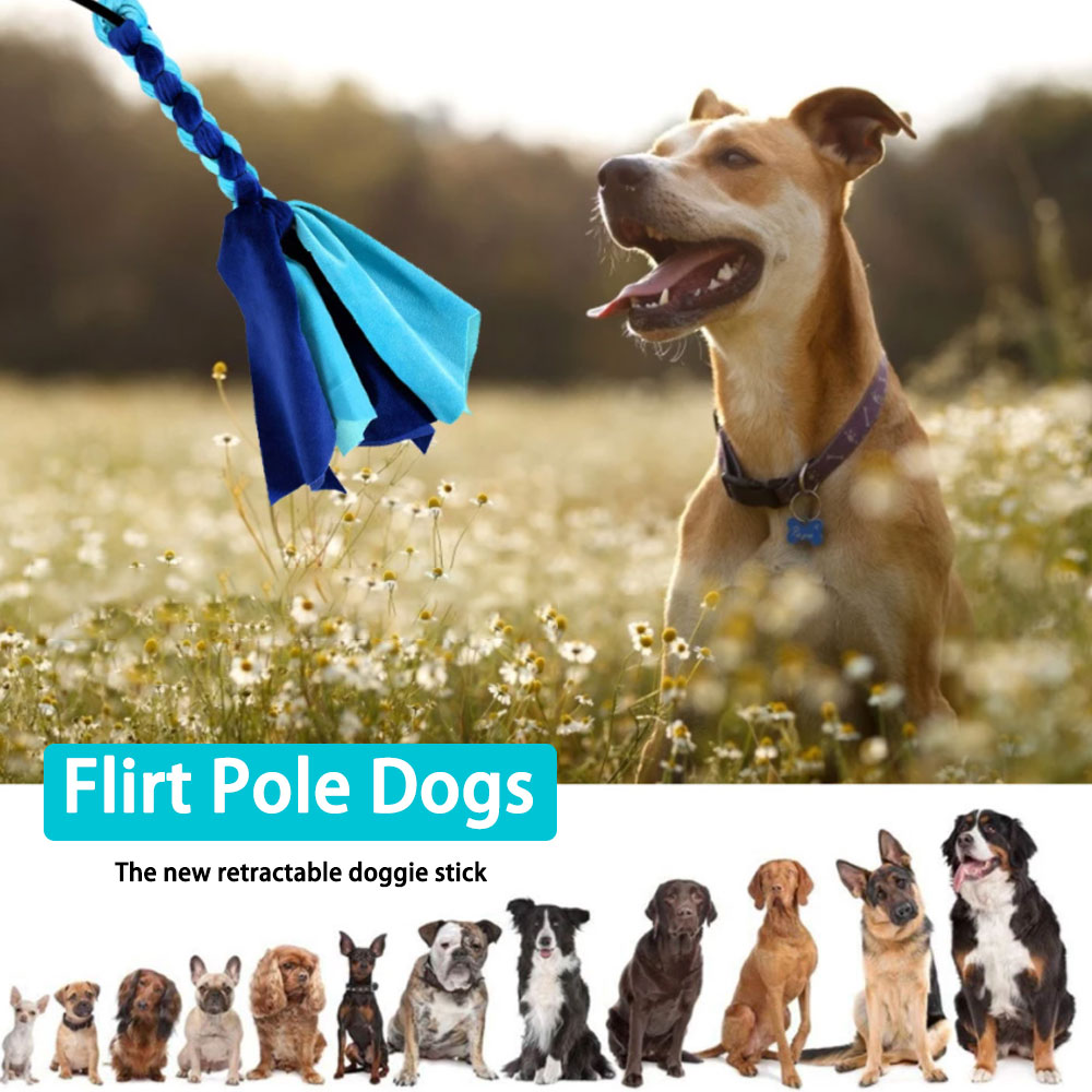 Tongkat anjing dapat ditarik,  - Interactive Squeaky Plush Dog Toy ulasan dan harga