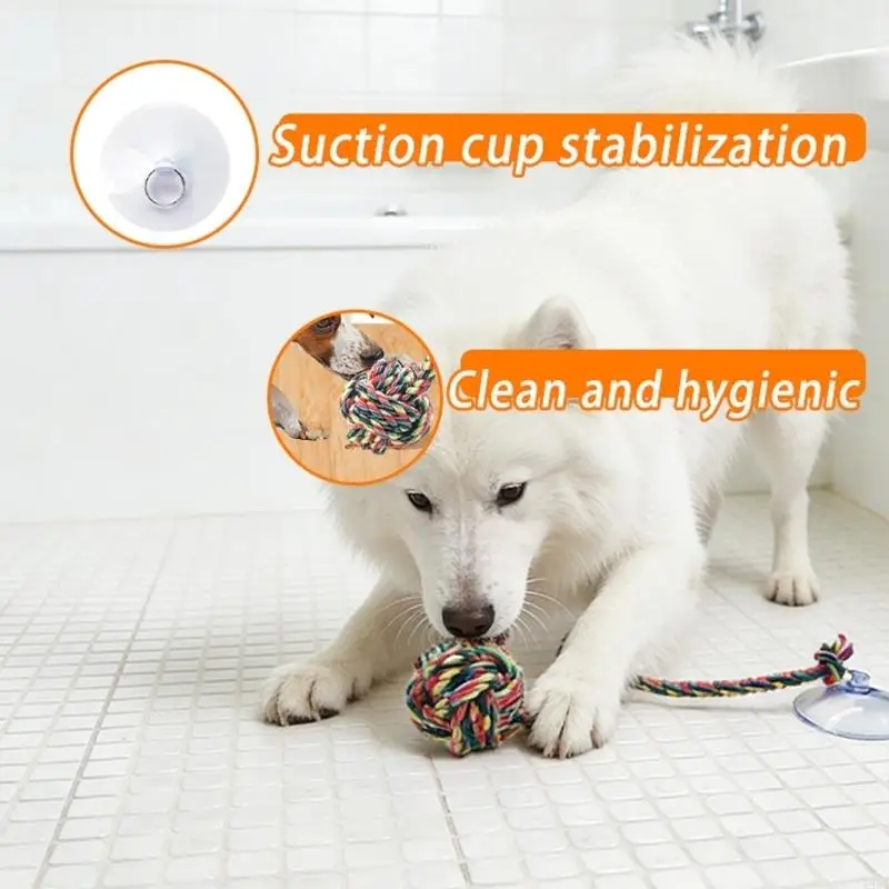 Mainan Kunyah Anjing Aman yang - Suction Cup Dog Tug Toy ulasan dan harga
