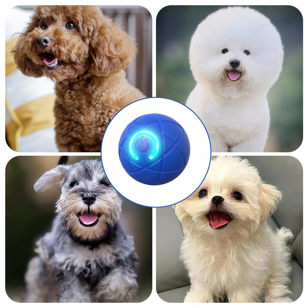 Mainan Hewan Peliharaan Intera - Automatic Moving Dog Ball ulasan dan harga