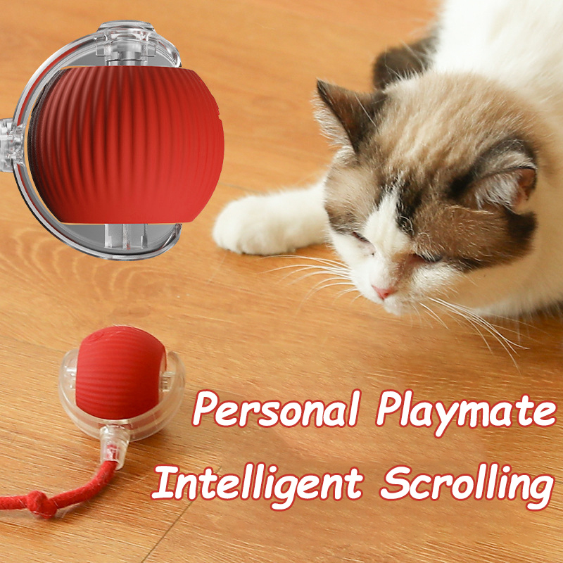 Mainan Bola Interaktif Kucing  - Automatic Moving Dog Ball ulasan dan harga