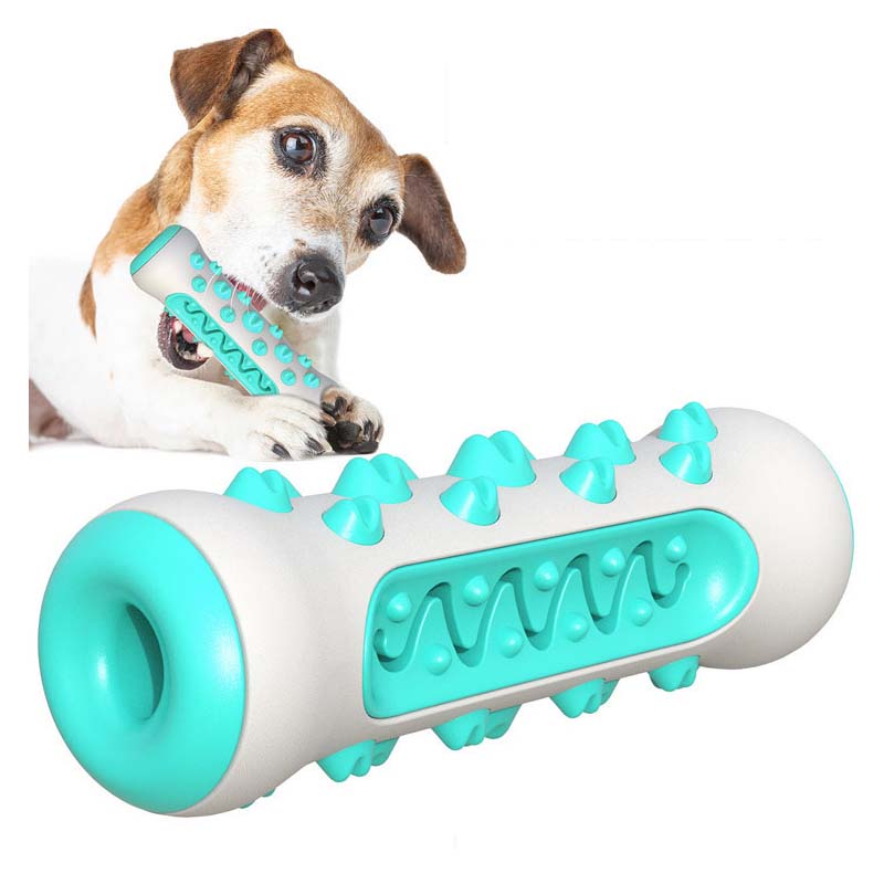 Tongkat Gigit Anjing TPR, Taha - Teeth Cleaning Dog Chew Bone ulasan dan harga