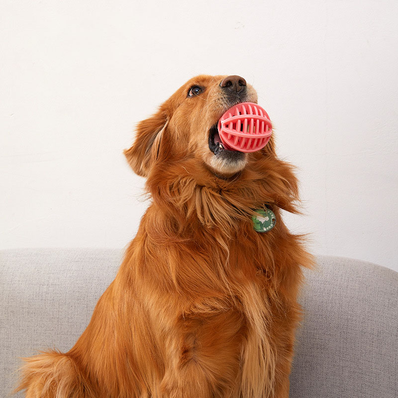 Mainan Bola Anjing Pengeluaran - Rubber Treat Dispensing Dog Toy ulasan dan harga