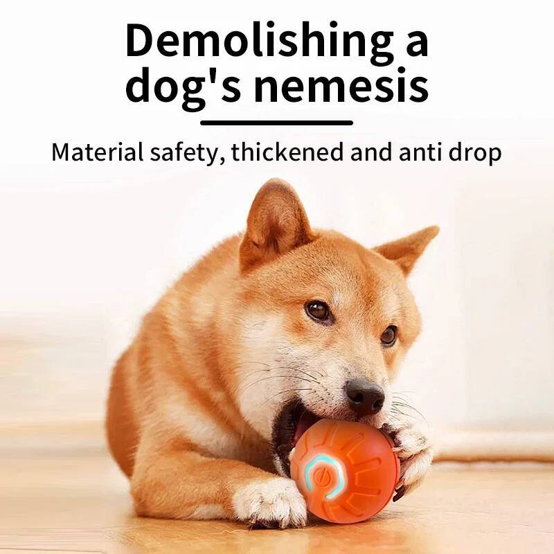 Bola Mainan Anjing Pintar Elek - Automatic Moving Dog Ball ulasan dan harga
