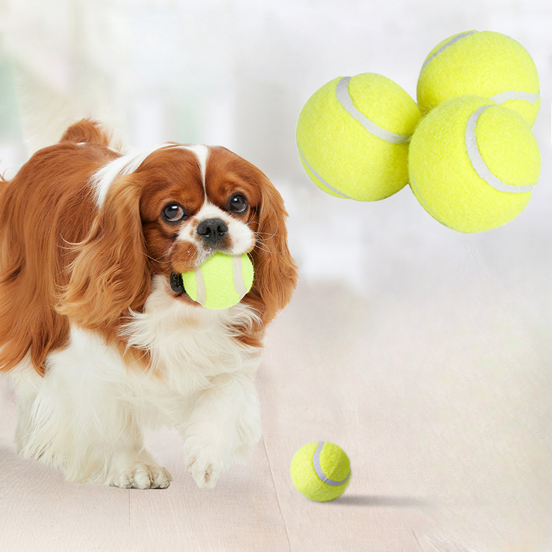 Mainan Kunyah Anjing Karet Ber - Interactive Squeaky Plush Dog Toy ulasan dan harga
