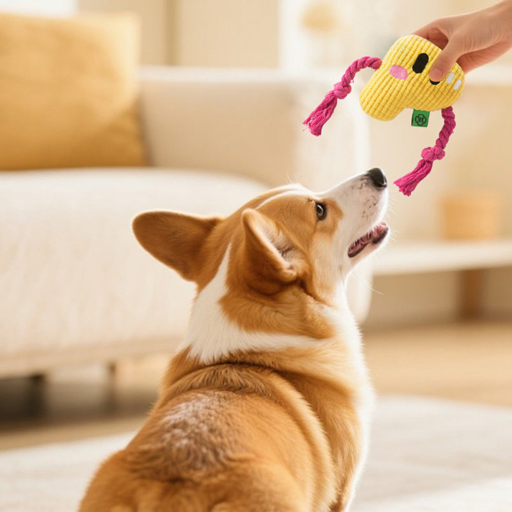 Mainan Kunyah Anjing - Desain  - Dog Rope Toy Aggressive Chewers ulasan dan harga