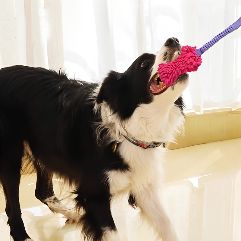 Mainan Anjing Tahan Lama untuk - Dog Rope Toy Aggressive Chewers ulasan dan harga