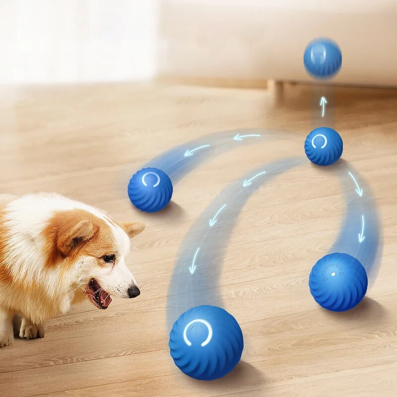 Mainan anjing bola lompat grav - Suction Cup Dog Tug Toy ulasan dan harga
