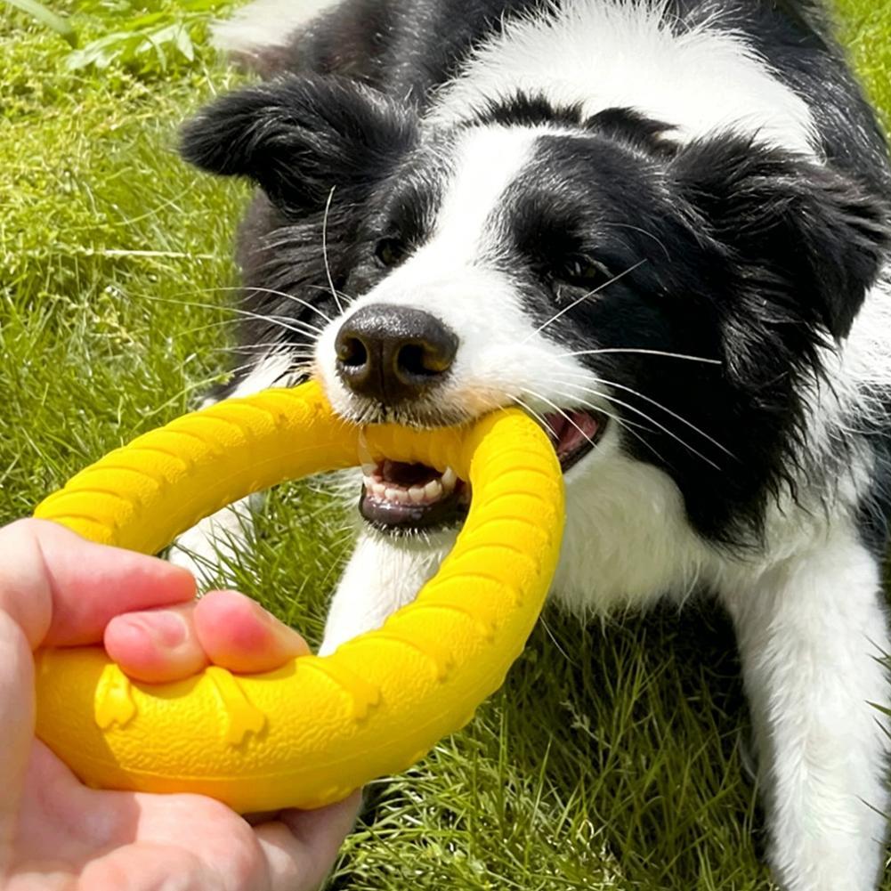 Mainan Cincin Anjing yang Taha - Suction Cup Dog Tug Toy ulasan dan harga