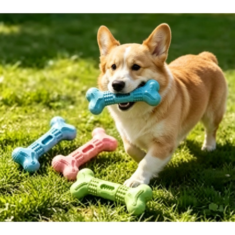 Set Mainan Kunyah Hewan Peliha - Teeth Cleaning Dog Chew Bone ulasan dan harga