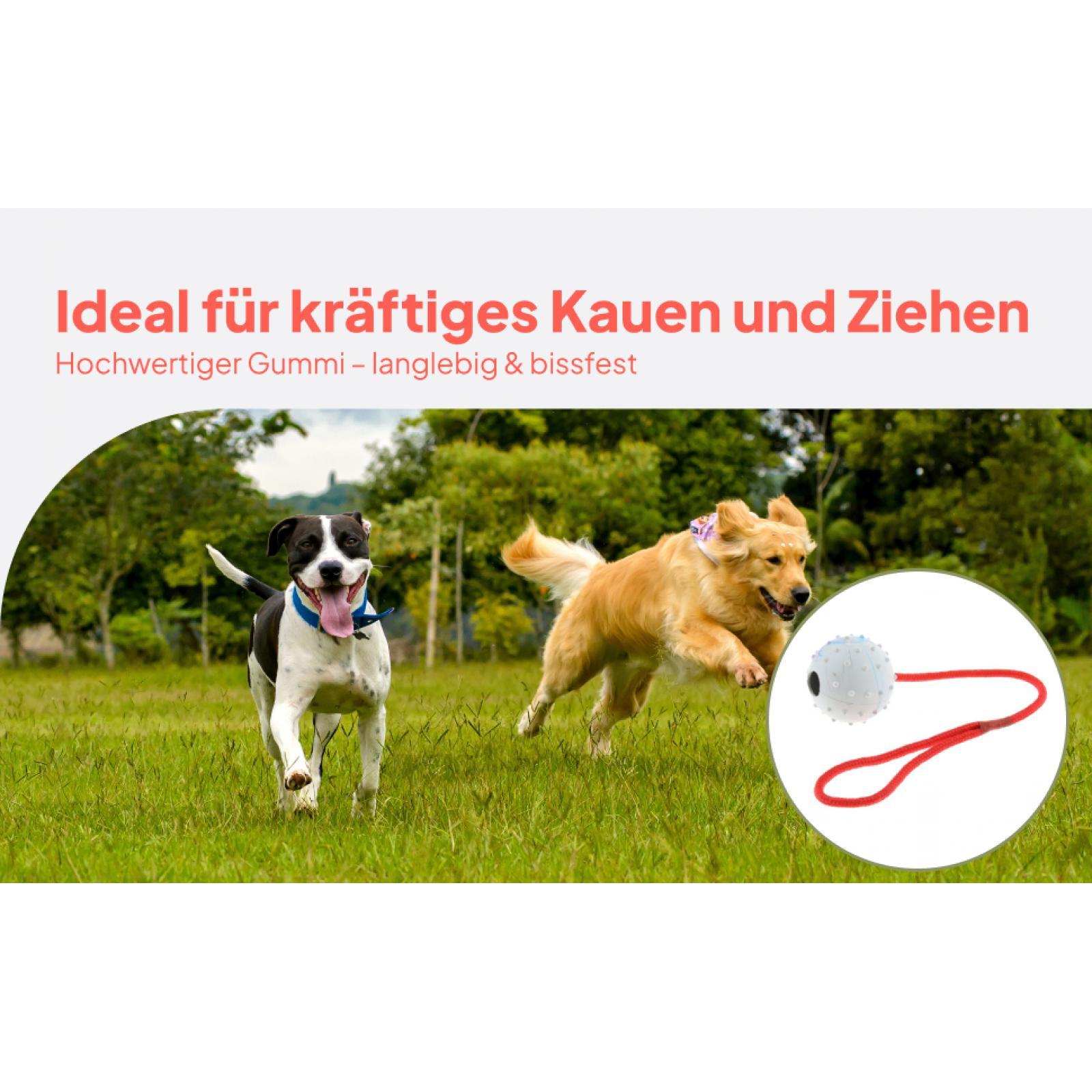 Mainan Pelatihan Hewan Pelihar - Rubber Treat Dispensing Dog Toy ulasan dan harga