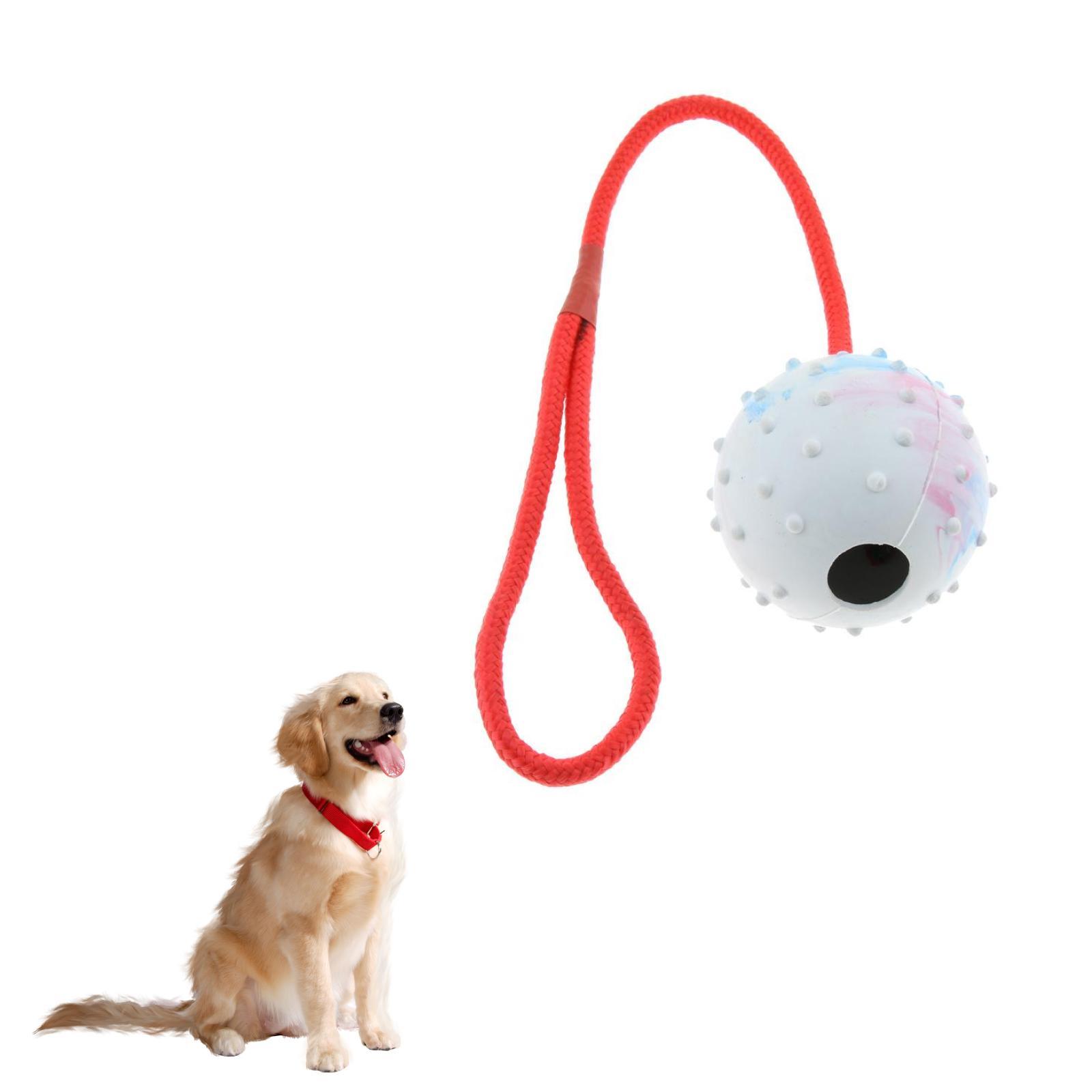 Mainan Pelatihan Hewan Pelihar - Rubber Treat Dispensing Dog Toy ulasan dan harga
