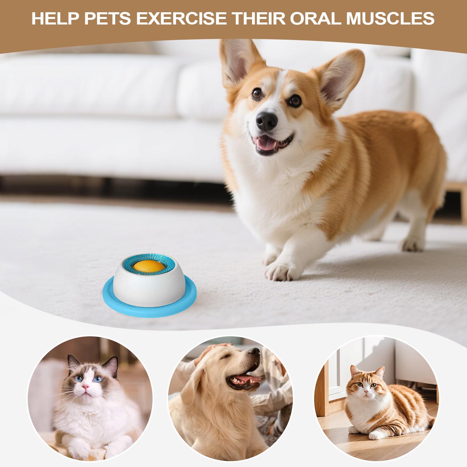 Aksesoris Makanan Hewan Peliha - Dog Puzzle Feeder Toy ulasan dan harga